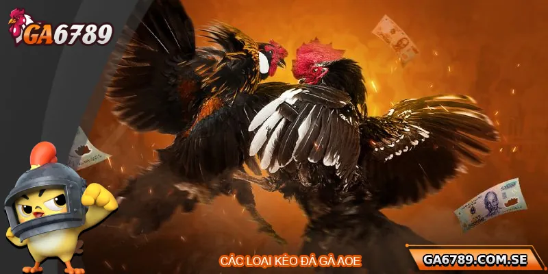 Đá Gà AOE – Sân Chơi Đỉnh Cao Dành Cho Người Đam Mê 2 Các loại kèo tại nhà cái đá gà AOE