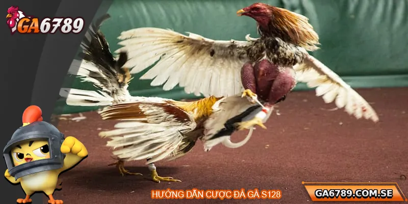 Đá Gà S128 – Đỉnh Cao Cá Cược Gà Chọi Trực Tuyến 2 Hướng dẫn tham gia sảnh cược đá gà S128