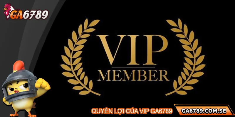 Vip Ga6789 – Đặc Quyền Dành Riêng Cho Người Chơi Đẳng Cấp 1 Quyền lợi của hội viên VIP tại ga6789
