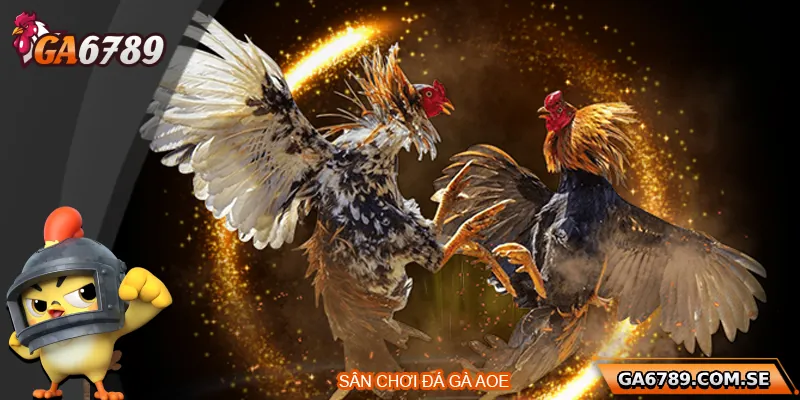 Đá Gà AOE – Sân Chơi Đỉnh Cao Dành Cho Người Đam Mê 1 Tổng quan về sân chơi đá gà AOE